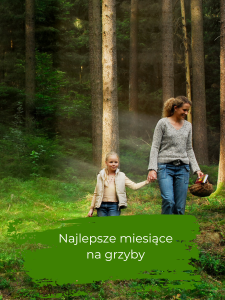 Sierpień – rozpoczynamy sezon na grzybobranie!